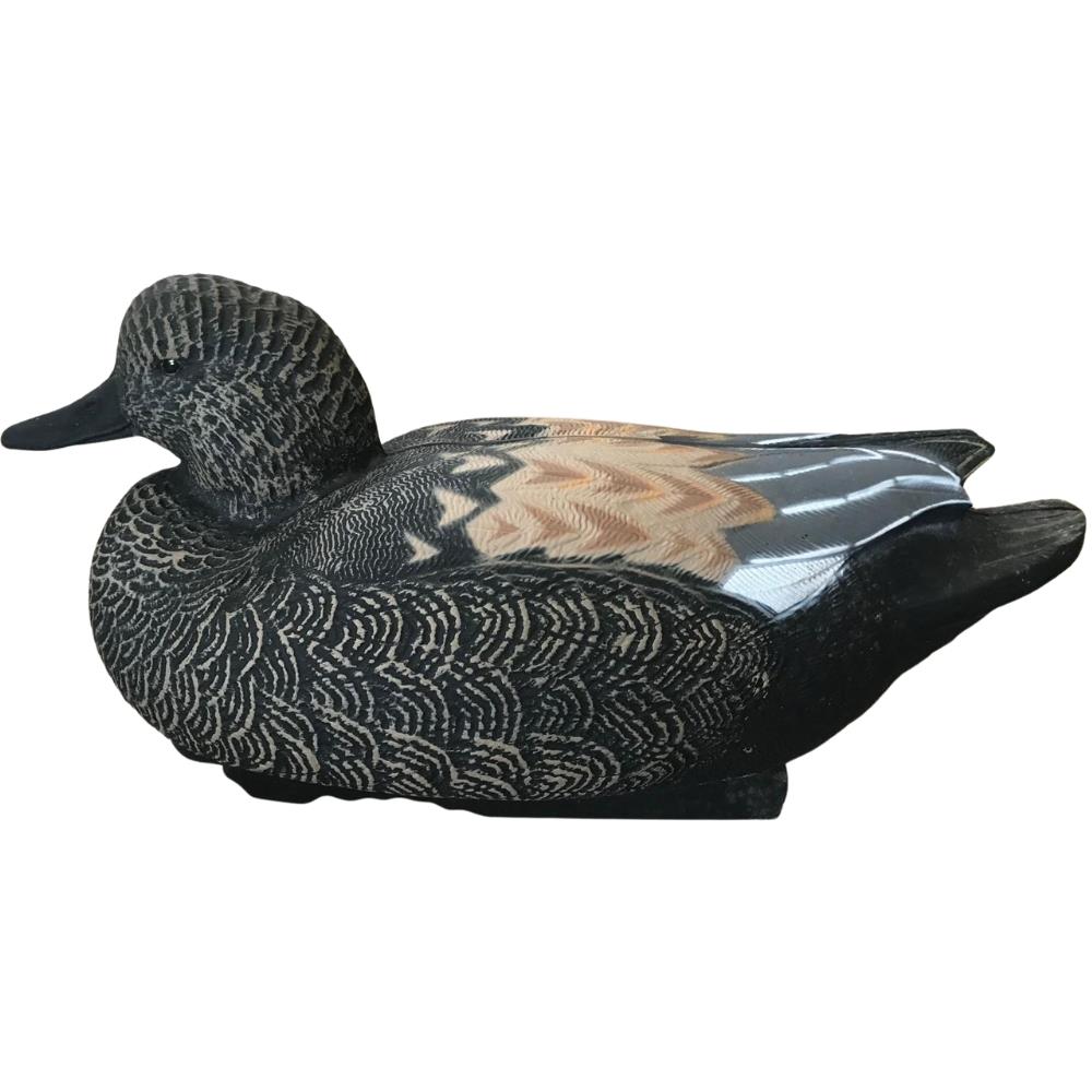 Floating WINDY Gadwall Duck Decoy, male or female, realistic HD design for hunting or decor, shown in water.
