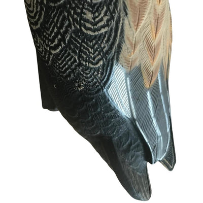 Floating WINDY Gadwall Duck Decoy, realistic HD male or female duck decoy for hunting or decoy setups