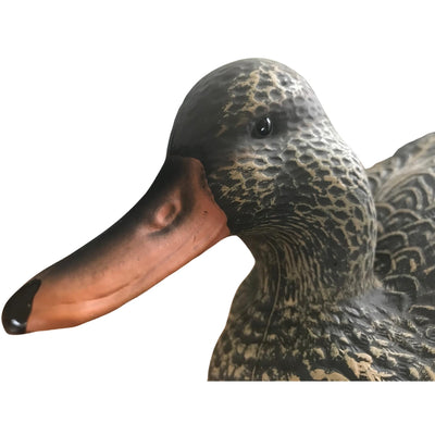 Floating HD Gadwall Duck Decoy by WINDY, realistic male or female decoy for hunting or decoy spread.