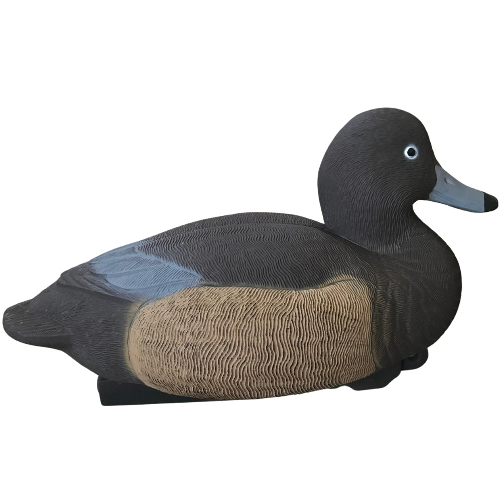 Floating HD Redhead Duck Decoy from WINDY, realistic male or female duck decoy for hunting or decoration.