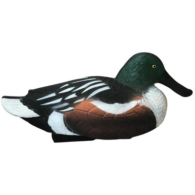 Floating HD Shoveller Duck Decoy from WINDY, realistic male or female duck decoy for hunting or decoy practice.