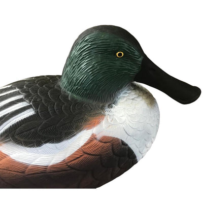 Floating WINDY Shoveller Duck Decoy featuring a realistic male or female duck decoy for hunting or decoration.