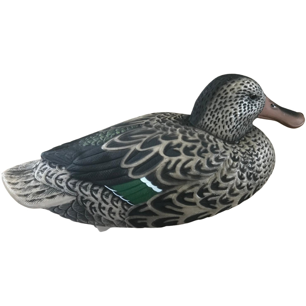 Floating WINDY Shoveller Duck Decoy with HD male or female duck design, realistic floating decoy for hunting or wildlife decor.