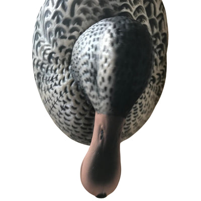 Floating WINDY Shoveller Duck Decoy, realistic male or female duck decoy for hunting or decor, detailed and lifelike.