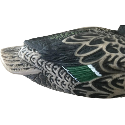 Floating WINDY Shoveller Duck Decoy with HD detail, featuring a male or female duck for hunting or decoration.