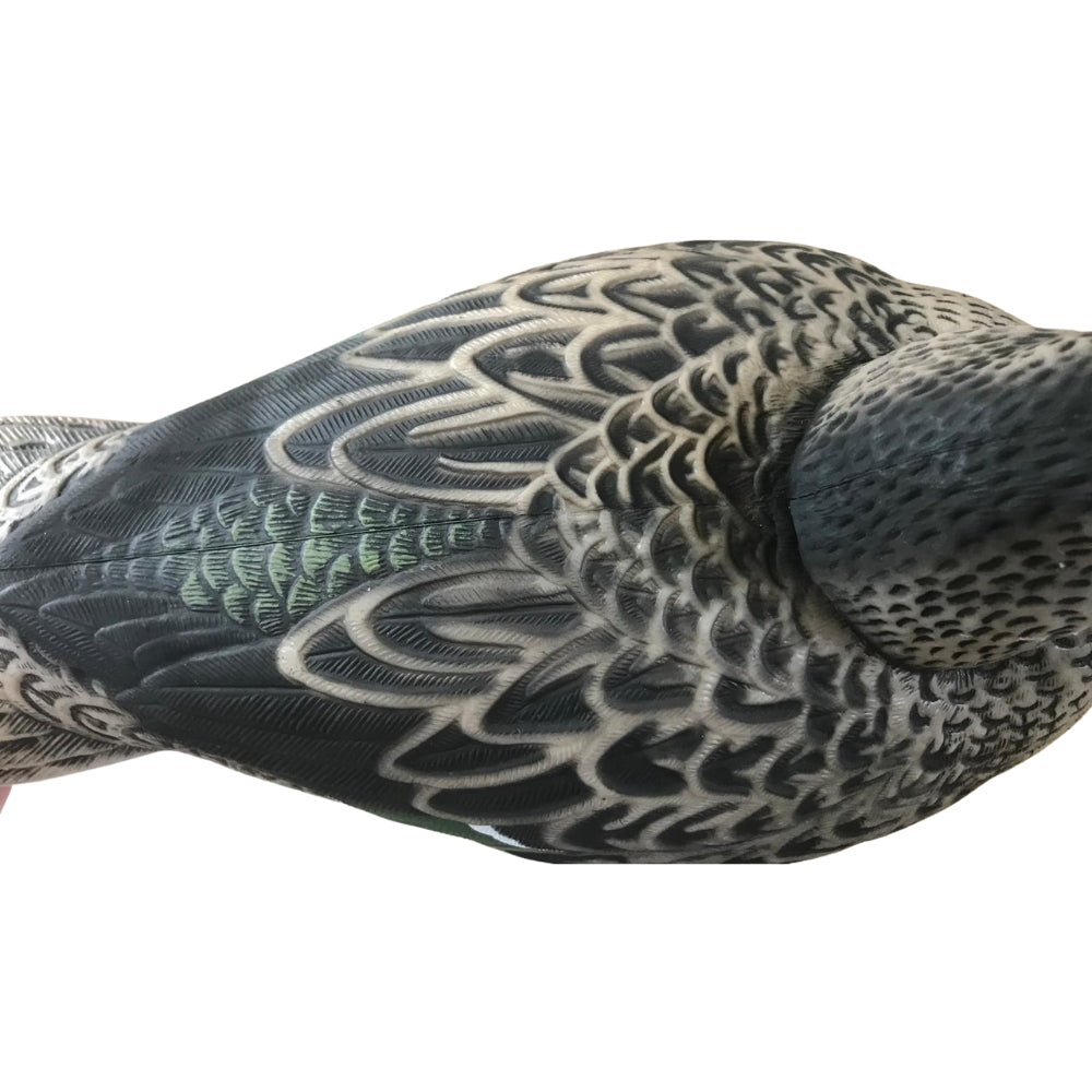 Floating WINDY Shoveller Duck Decoy with HD male or female duck design for hunting or decoy purposes.