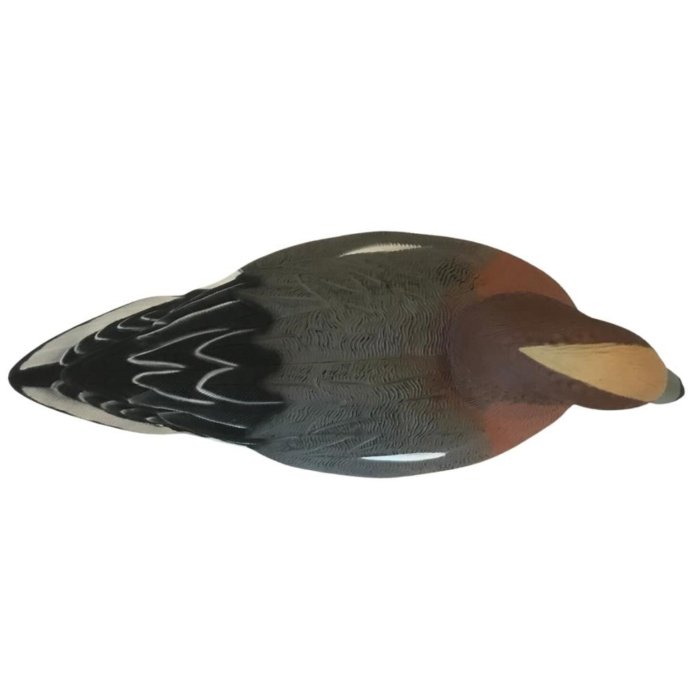 Floating HD Wigeon Duck Decoy by WINDY, realistic male or female duck decoy for hunting or decoy spreads.