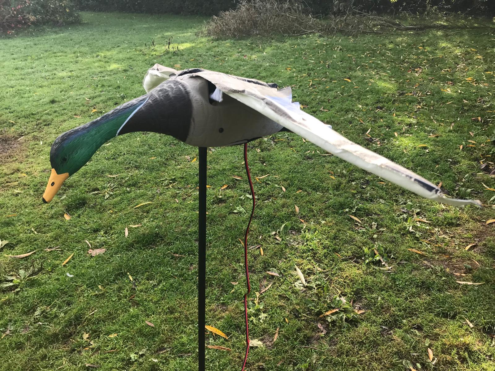 Windy flapping mallard duck decoy for hunting or decoration, realistic duck decoy with detailed feather design.