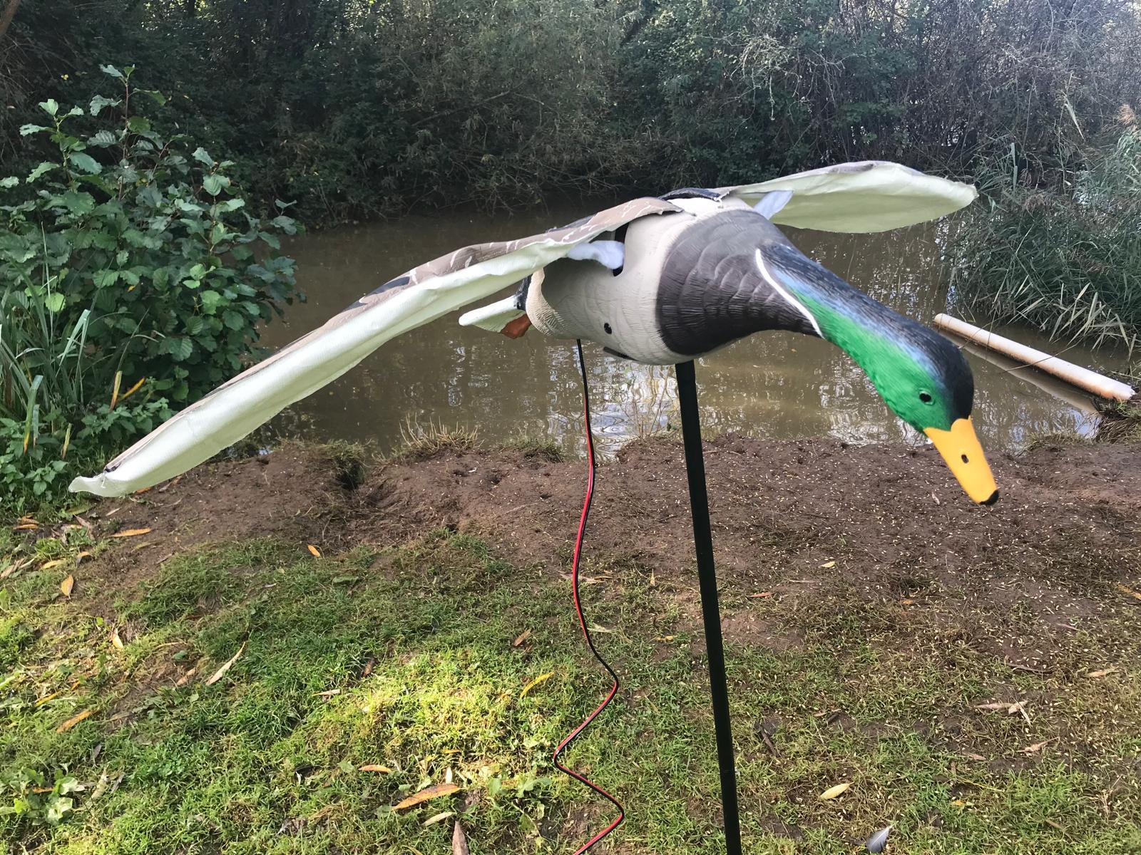 WINDY Flapping Mallard Duck Decoy for hunting or decoration, featuring realistic duck design with moving wings.