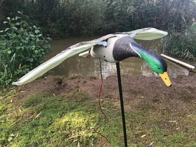 WINDY Flapping Mallard Duck Decoy for hunting or decoration, featuring realistic duck design with moving wings.