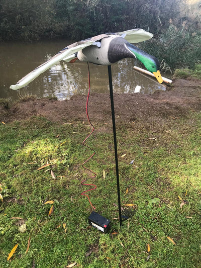 Windy flapping mallard duck decoy for hunting or decoration, realistic appearance with detailed features and natural coloration.