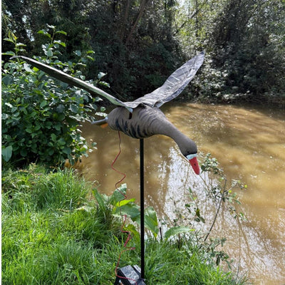 Windy Flapping Greylag Goose Decoy for hunting, realistic decoy bird with flapping wings for goose hunting setups.