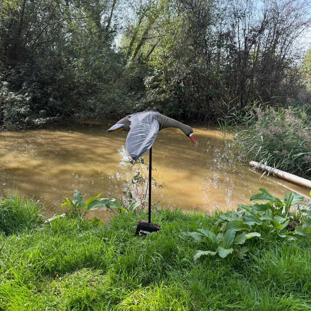 Windy Flapping Greylag Goose Decoy for hunting and decoy spreads, realistic bird design for effective bird deterrence.