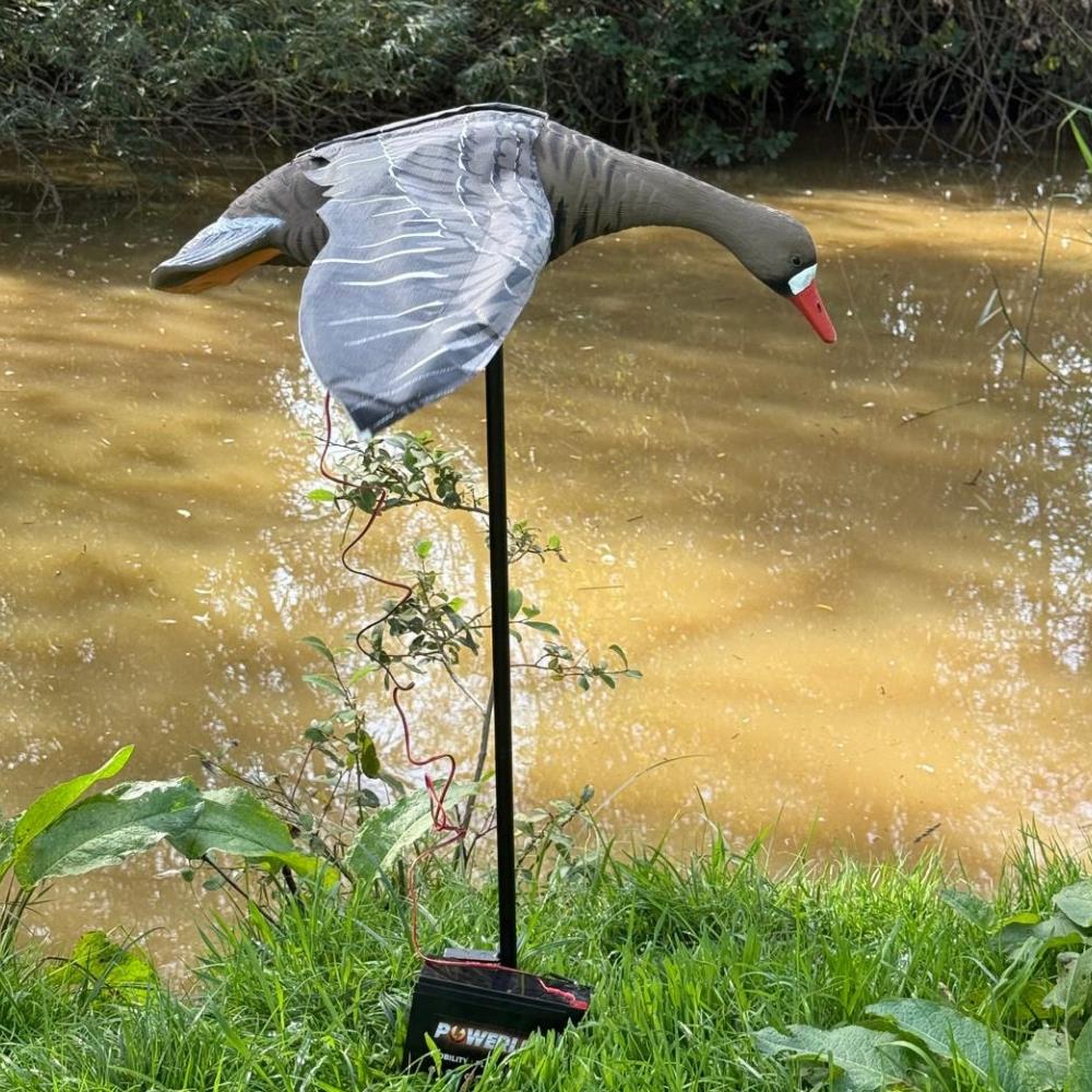 Windy Flapping Greylag Goose Decoy for hunting and bird control, realistic goose decoy with moving wings for natural appeal.