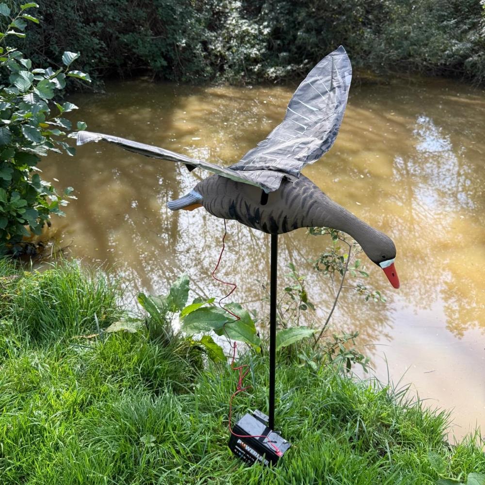 Windy Flapping Greylag Goose Decoy, realistic goose decoy with flapping wings for hunting or wildlife decoration.