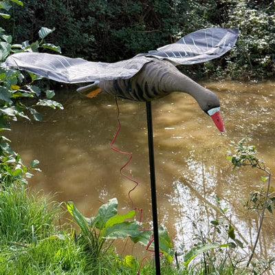Windy Flapping Greylag Goose Decoy for hunting, realistic goose decoy with flapping wing motion in natural outdoor setting.