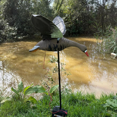 Windy Flapping Greylag Goose Decoy for hunting, realistic motion, designed to attract waterfowl, made by WINDY.