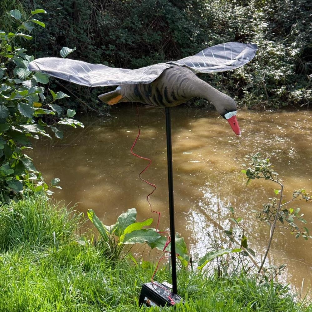 Windy Flapping Greylag Goose Decoy for hunting and bird conservation, realistic goose decoy with flapping motion.