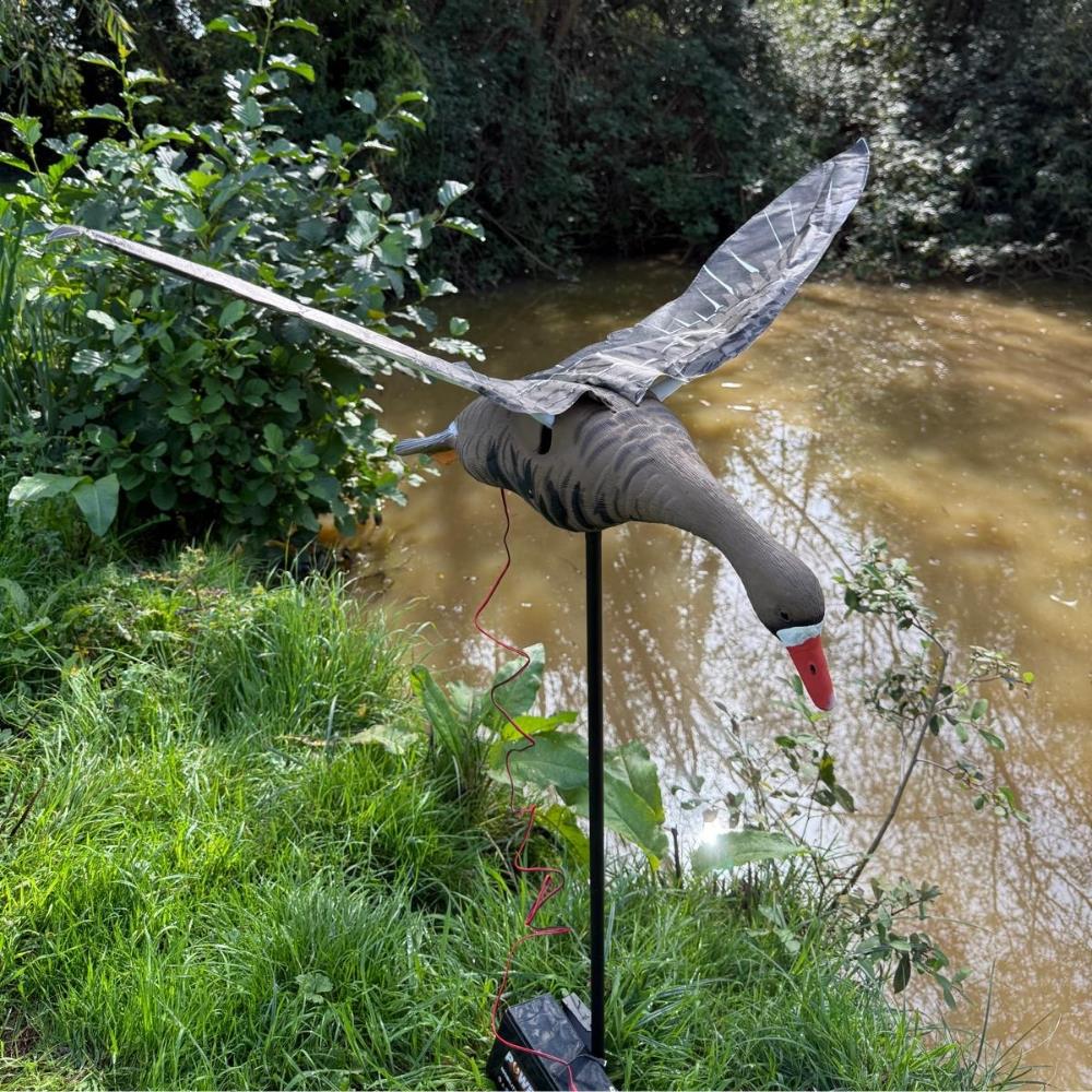Windy flapping Greylag Goose decoy for hunting or hunting decoy setup, realistic bird appearance with detailed feathers.