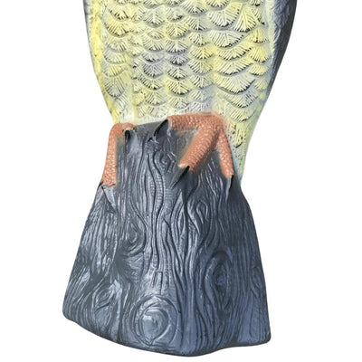 WINDY Peregrine Falcon decoy bird and cat deterrent decoy for outdoor pest control, realistic design to scare away birds and cats.