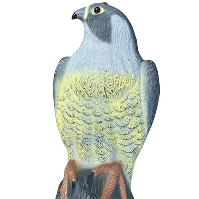 Windy Peregrine Falcon decoy for bird and cat deterrence, designed to scare away pests with realistic bird imagery.