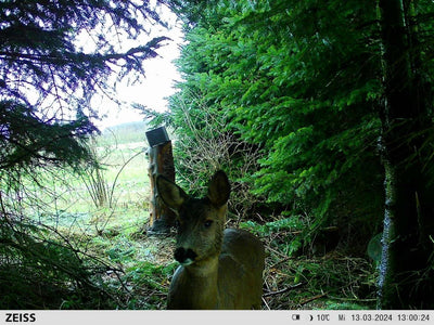 ZEISS Secacam 7 professional trail camera with infrared sensor and display for outdoor wildlife monitoring and security.