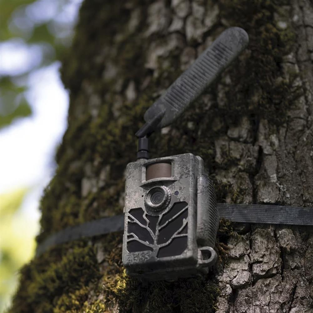 ZEISS Secacam 4G trail camera antenna showing outdoor antenna with connectors for enhanced cellular signal reception.