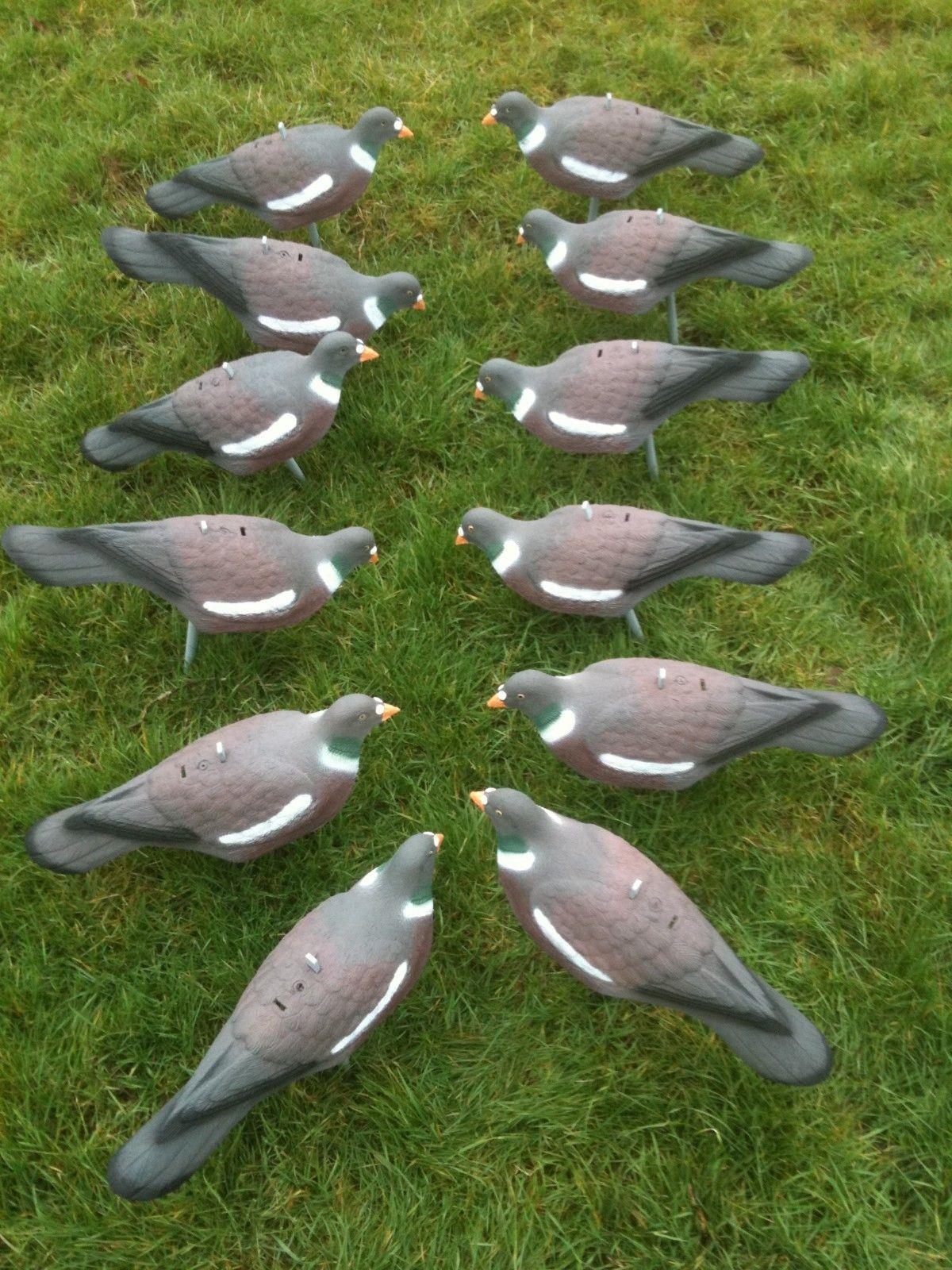 PLASTIC PIGEON SHELL DECOY - A1 Decoy