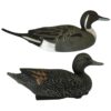 Pintail Duck Decoys