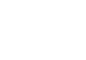 Wulf-Logo-White